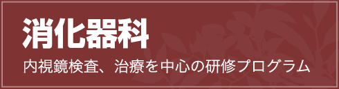 消化器科　内視鏡検査、治療を中心の研修プログラム