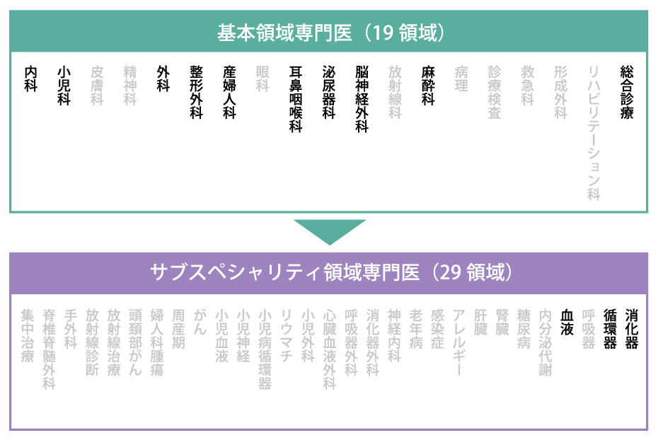 基本領域専門医（19領域）サブスペシャリティ領域専門医（29領域）